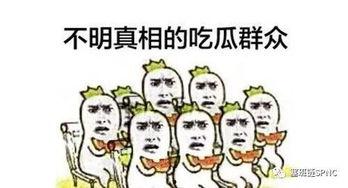 吃瓜群众看不懂娱乐圈